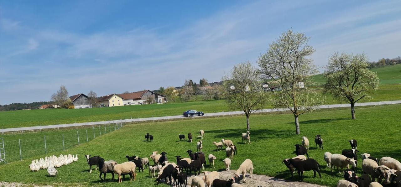 Landgasthof Entenwirt Tarsdorf Exterior photo